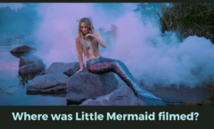 Where was Little Mermaid filmed