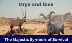 Oryx and Ibex